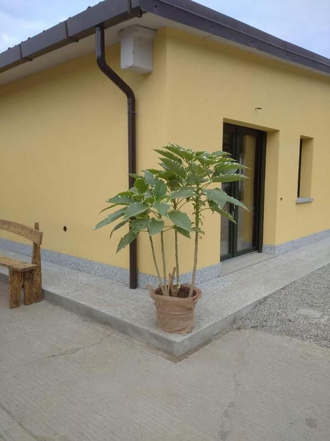 Azienda Agrituristica Scotti 솜마롬바르도 외부 사진